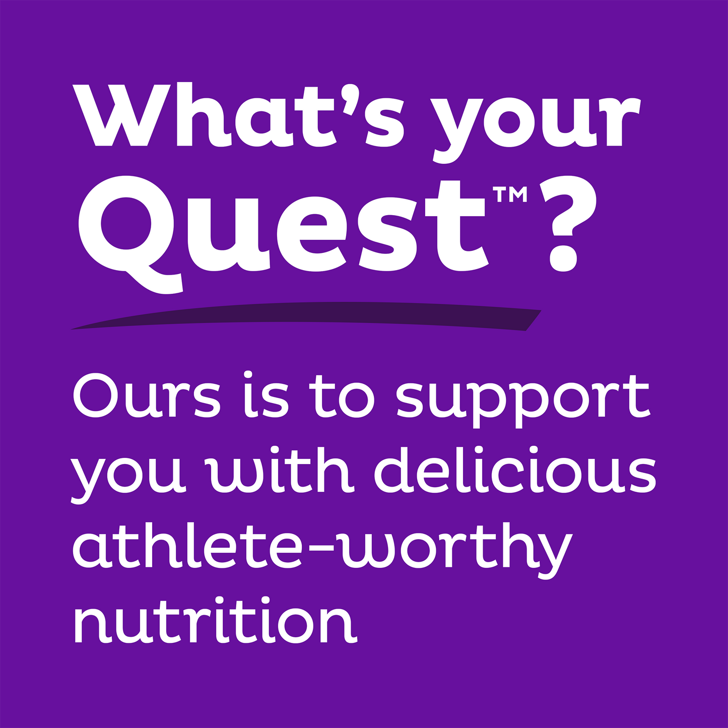 double-chocolate-chunk-protein-bars-l7 qst-000241_double-chocolate-chunk-protein-bars_9.png